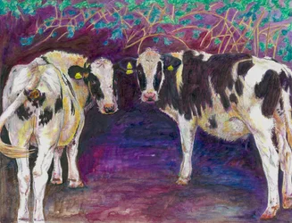 Menhely tehenek, 2011, (színes ceruza papíron)